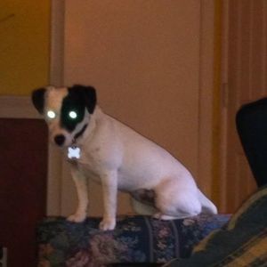 Meet your Posher, Luke